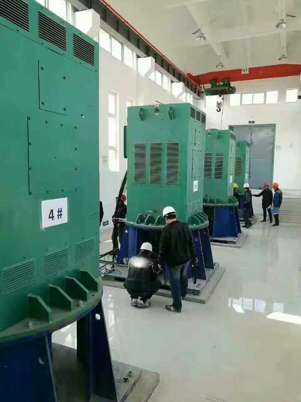 宁夏某污水处理厂使用我厂的立式高压电机安装现场